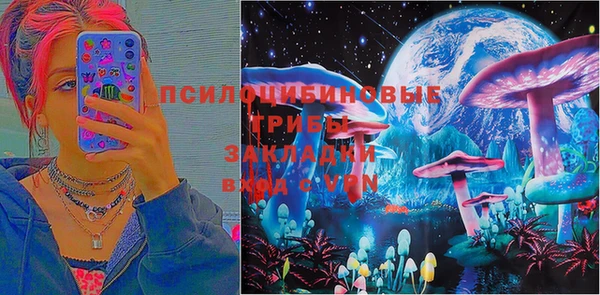 ГАЛЛЮЦИНОГЕННЫЕ ГРИБЫ Алексеевка