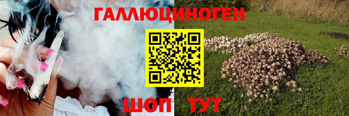 Псилоцибиновые грибы мицелий  Вход с VPN  Волжский 